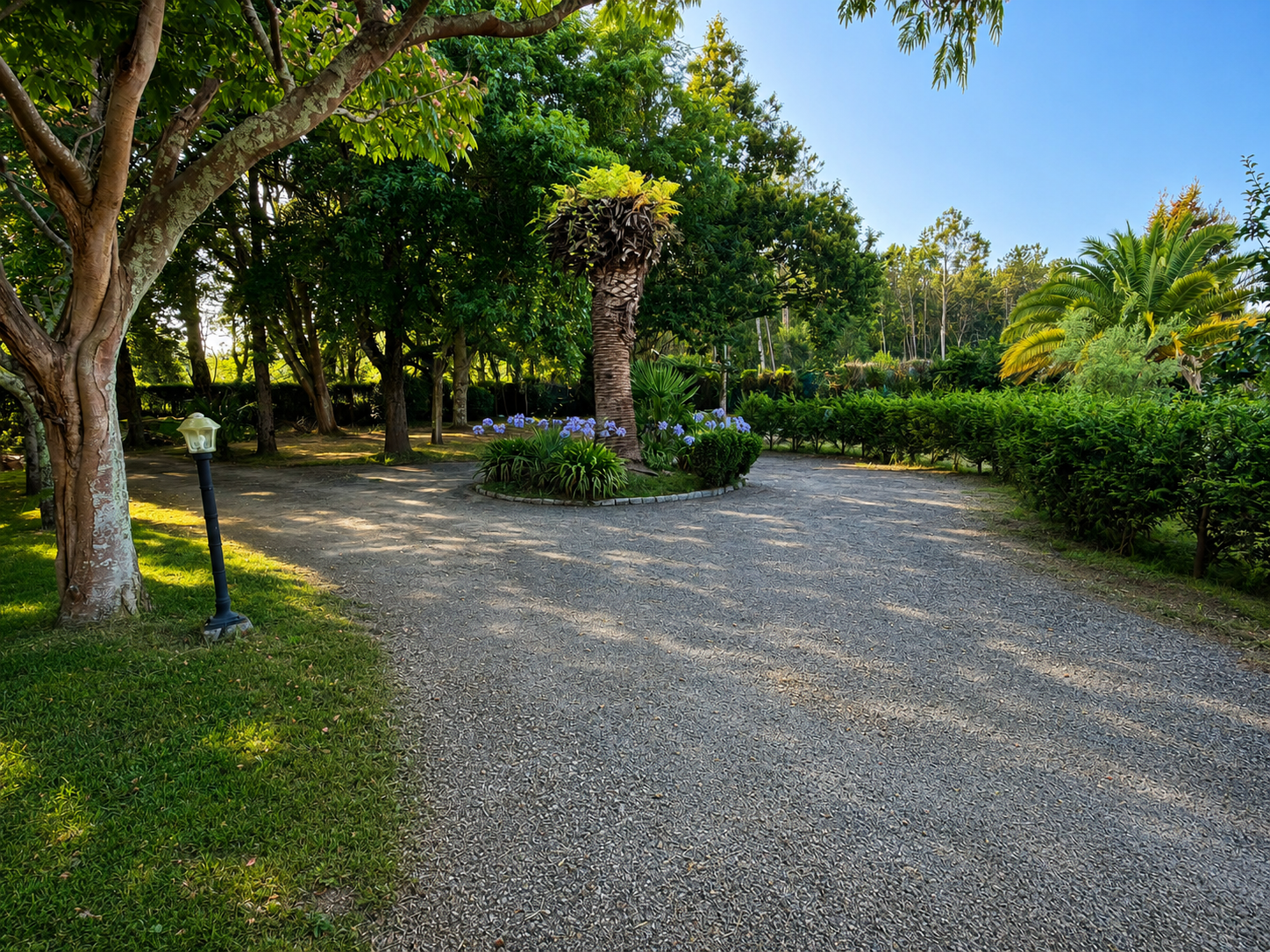 Camino de entrada rodeado de árboles